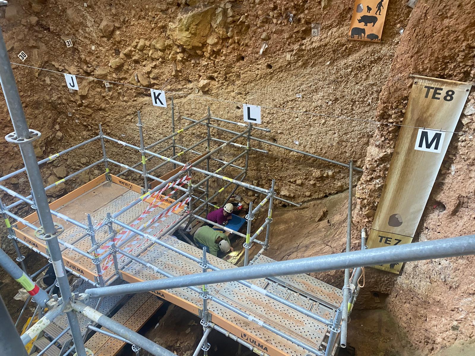 Atapuerca consejero